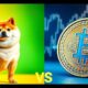 doge s movement influenced by halving