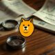 dogecoin s 2017 cycle analysis