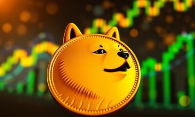 dogecoin s 5 bull run