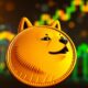 dogecoin s 5 bull run