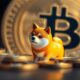 dogecoin trends during halving