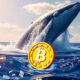 whale trades wif for fartcoin