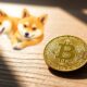 bitcoin influences dogecoin rally