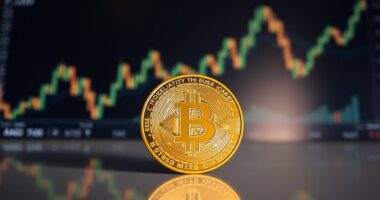 bitcoin s volatility raises concerns