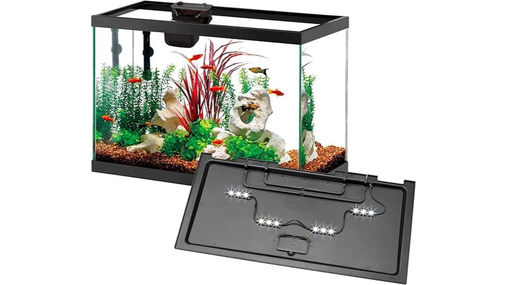 20 gallon aquarium starter kit