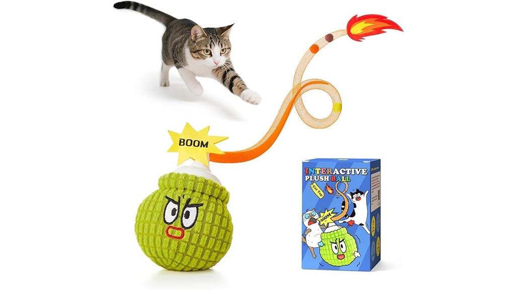 interactive cat toy