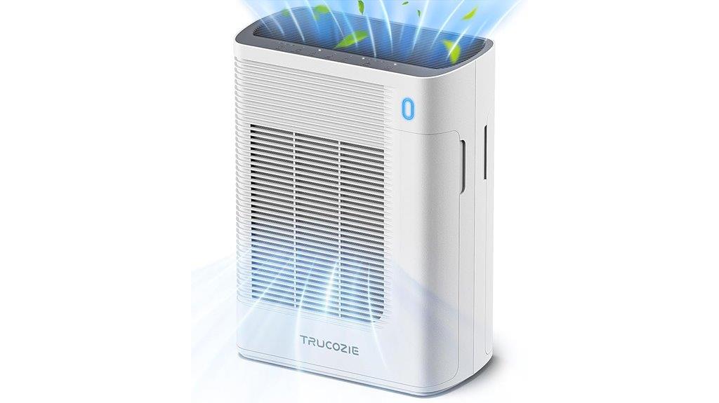 large room air purifier