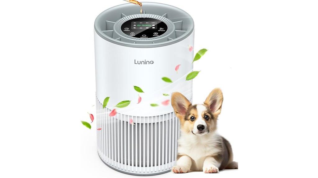 large room air purifier
