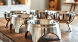 top elevated stainless bowls