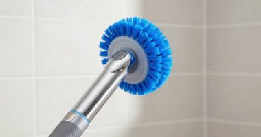 top electric scrubber reviews