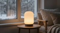 top winter mood lamps