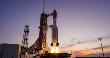 launchpads generate opportunity and risk