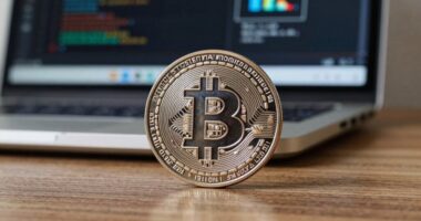 persistent bitcoin covenant debates