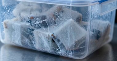 pre open storage failures