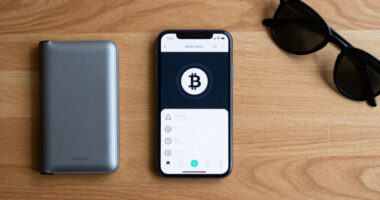 Controversial Bitcoin Fork BIP-110 Mines Two Blocks, Then Stops